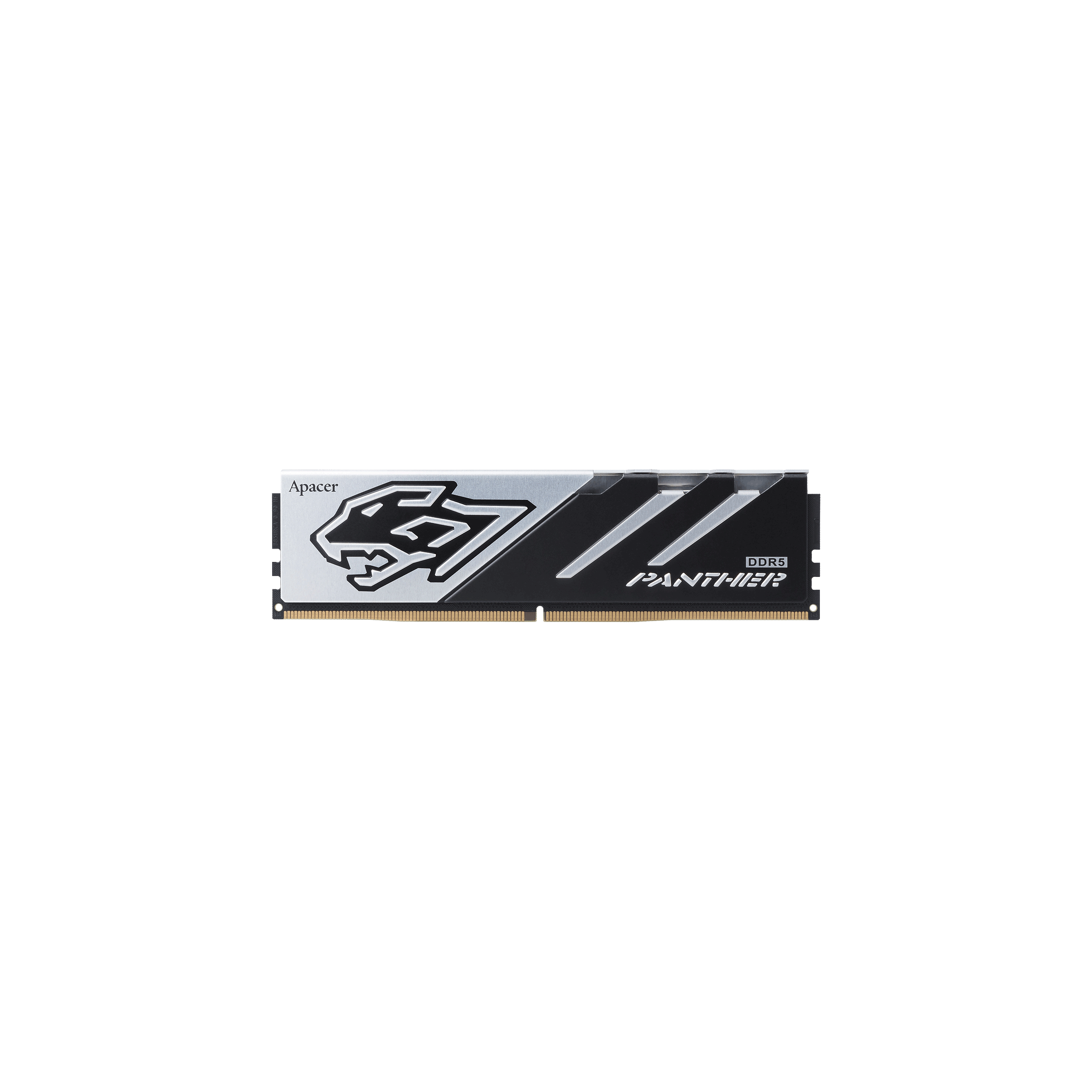 Panther-DDR5_01.png (209 KB)