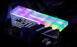 PANTHER RGB DDR5-A Surprising Vision for a New Tradition